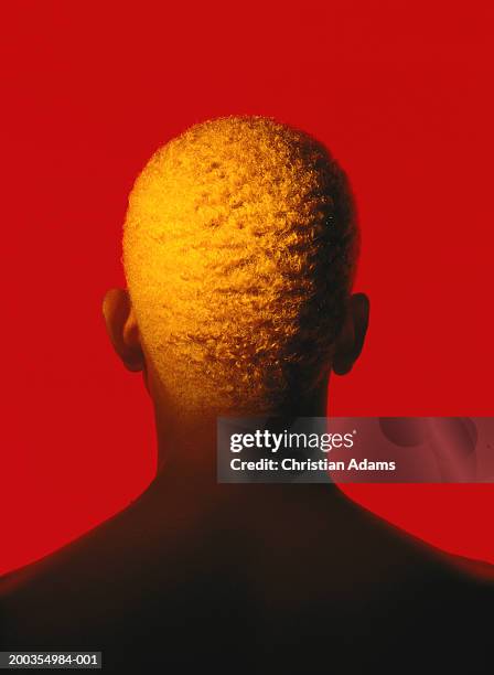 man with hair dyed yellow facing red background, rear view - cabello-teñido fotografías e imágenes de stock