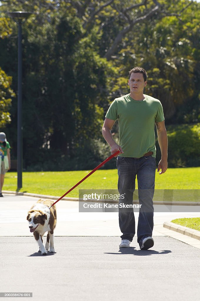 Man walking border collie in park