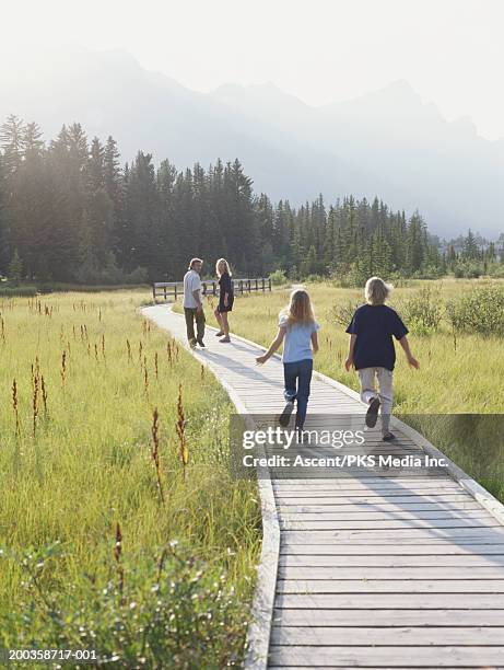 family of four on boardwalk through meadow - distant family stock pictures, royalty-free photos & images