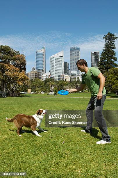 man throwing flying disc for border collie, side view - throwing frisbee stock pictures, royalty-free photos & images