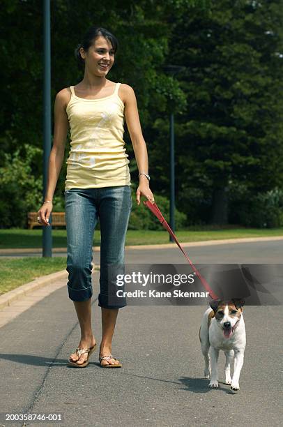 young woman walking jack russell terrier on street - jack russell stock pictures, royalty-free photos & images