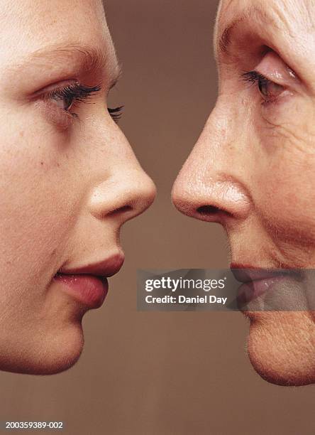 senior woman and young woman, facing each other, profile, close-up - age fotografías e imágenes de stock