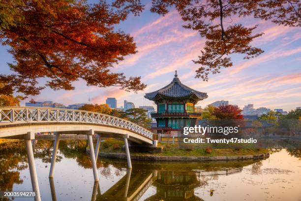 gyeongbokgung palace in autumn scene in seoul - cbd leaf stock pictures, royalty-free photos & images