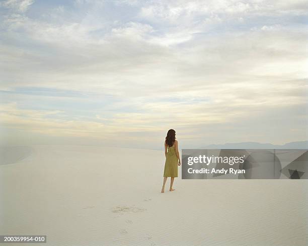 young woman walking in desert, rear view - solitude desert stock pictures, royalty-free photos & images