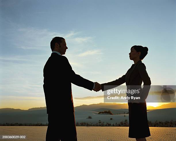 silhouette of businesspeople shaking hands in desert, sunset - handshake silhouette stock pictures, royalty-free photos & images