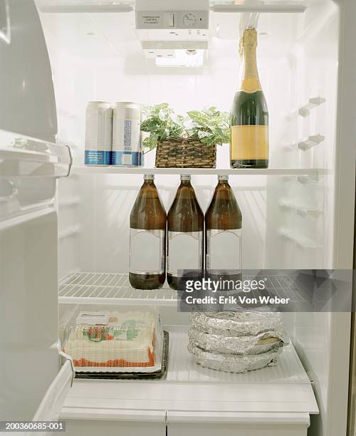 drinks, food containers, cake and plant inside refrigerator - beer fridge stock-fotos und bilder
