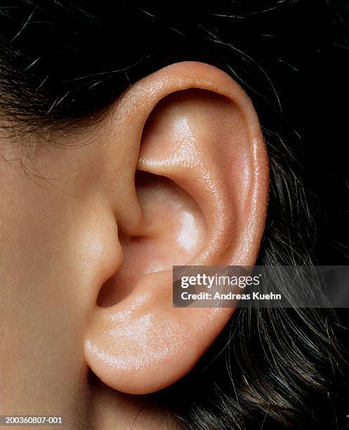 woman's ear, close-up - ear close up stock-fotos und bilder