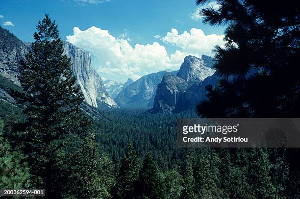 yosemite valley, california, usa, elevated view - parque nacional fotografías e imágenes de stock