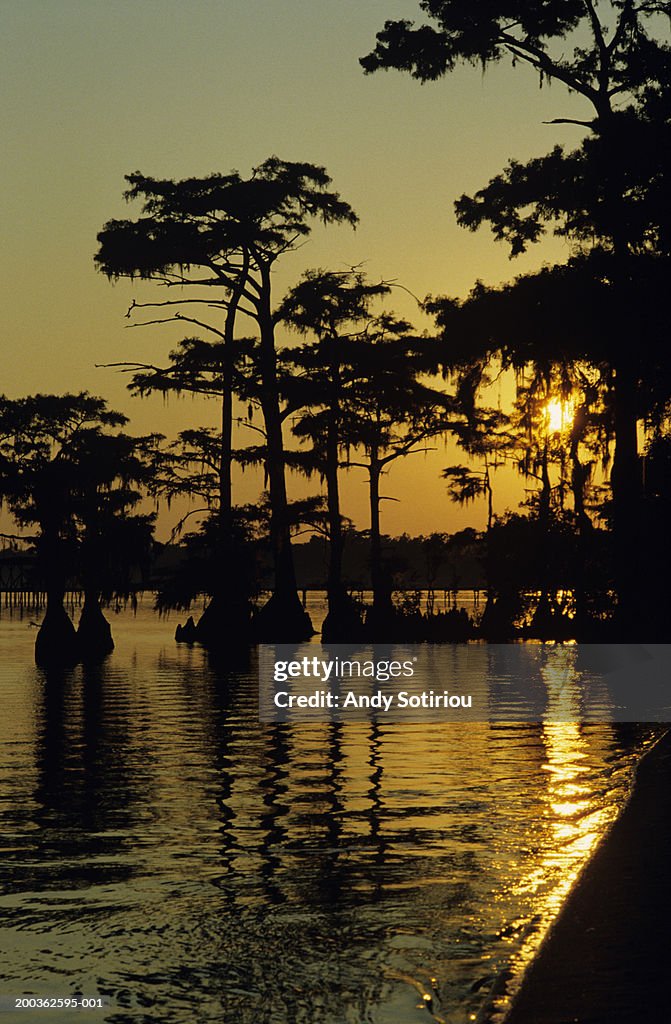 Lake Mattamuskeet, North Carolina, USA