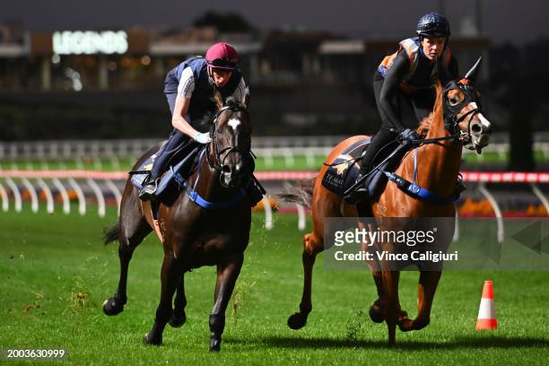 Black Caviar Lighting Stakes favourite Imperatriz ridden by Michael Dee is seen galloping with stablemate Sans Doute during track gallops at Moonee...