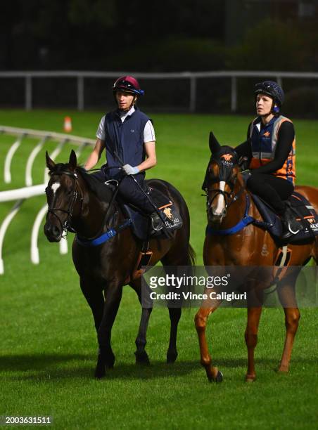 Black Caviar Lighting Stakes favourite Imperatriz ridden by Michael Dee is seen after galloping with stablemate Sans Doute during track gallops at...