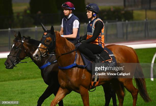 Black Caviar Lighting Stakes favourite Imperatriz ridden by Michael Dee is seen after galloping with stablemate Sans Doute during track gallops at...