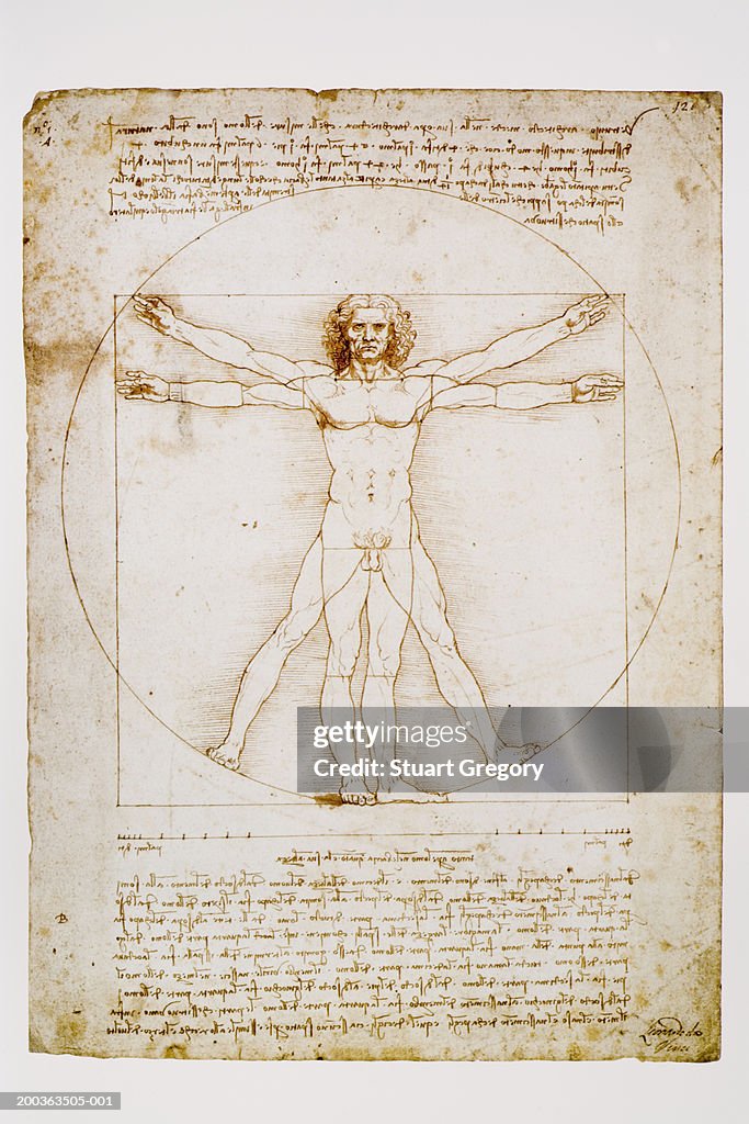 Vitruvian Man by Leonardo da Vinci