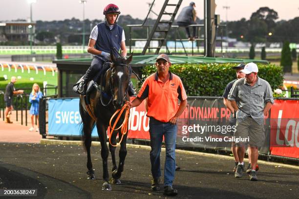 Trainer Mark Walker looks on over Black Caviar Lighting Stakes favourite Imperatriz ridden by Michael Dee after gallops at Moonee Valley Racecourse...