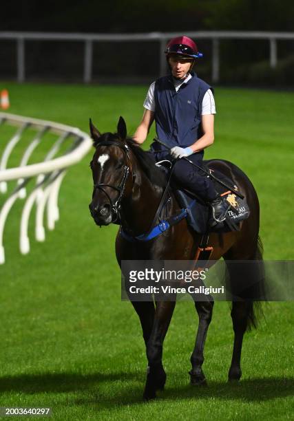Black Caviar Lighting Stakes favourite Imperatriz ridden by Michael Dee is seen during track gallops at Moonee Valley Racecourse on February 12, 2024...