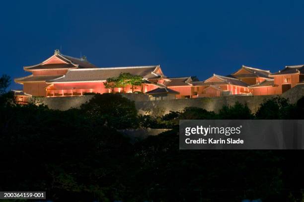 japan, okinawa, naha, shurijo castle, night - shuri castle 個照片及圖片檔