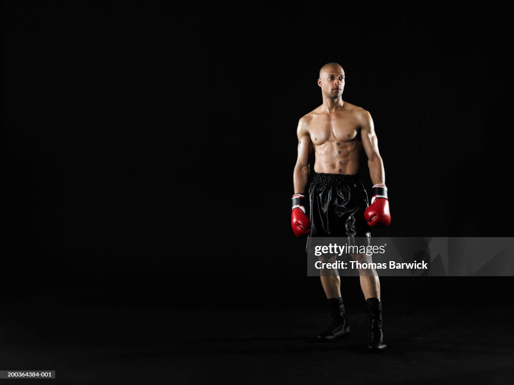 Male boxer looking away