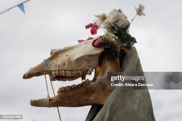 Villager dressed as "Antruejo" takes part in a Carnival on February 11, 2024 in Velilla de la Reina, in Leon, Spain. The Antruejos of the province of...