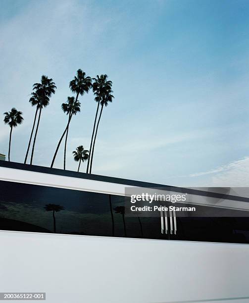 detail of limo with palm trees in background - limousine photos et images de collection