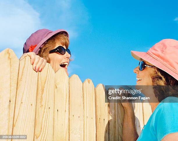 mature women talking over fence - friends chatting mature foto e immagini stock