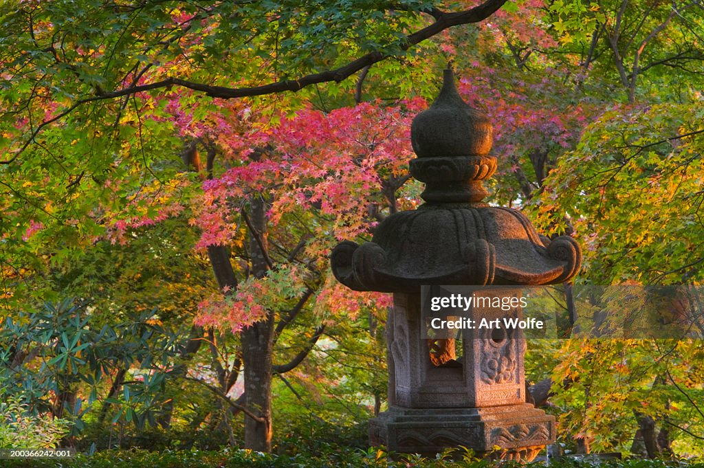 Temple garden, Kyoto, Honshu, Japan