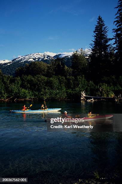 kayaking on stikine river, alaska, usa, elevated view - stikine river stock pictures, royalty-free photos & images