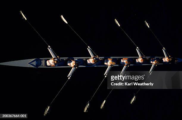 overhead shot of woman's rowing team in practice - rudern stock pictures, royalty-free photos & images