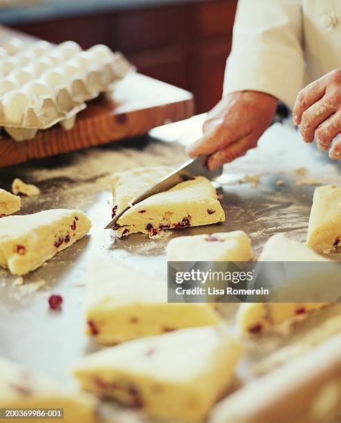 271 Lisa Cutter Stock Photos, High-Res Pictures, and Images - Getty Images