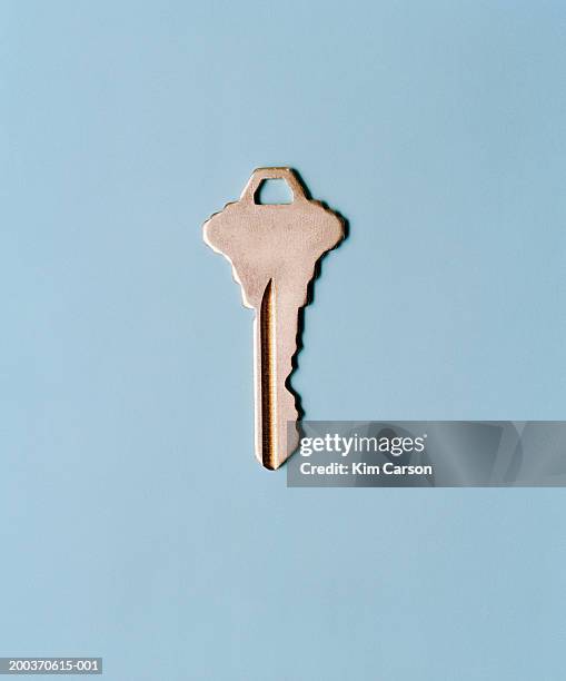 13,704 Blue Keys Stock Photos, High-Res Pictures, and Images - Getty Images