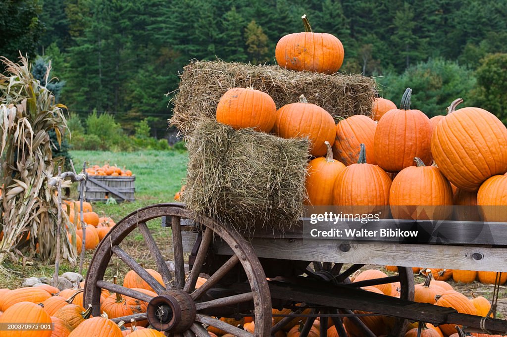 Pumpkins on cart with hay