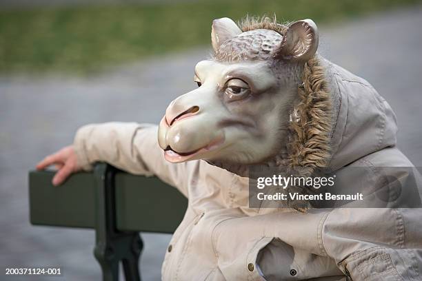 man wearing sheep mask, sitting on park bench - sheep funny stock-fotos und bilder