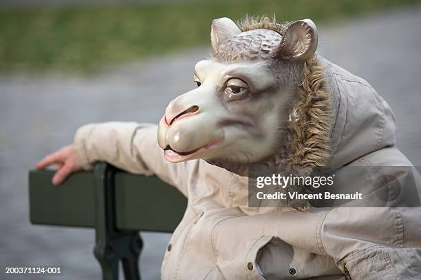 man wearing sheep mask, sitting on park bench - sheep funny stock pictures, royalty-free photos & images