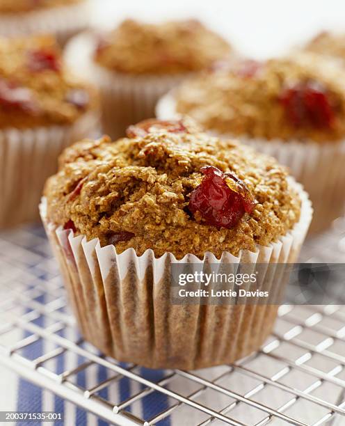 baking tray of bran and cranberry muffins (focus on one in foreground) - kli bildbanksfoton och bilder