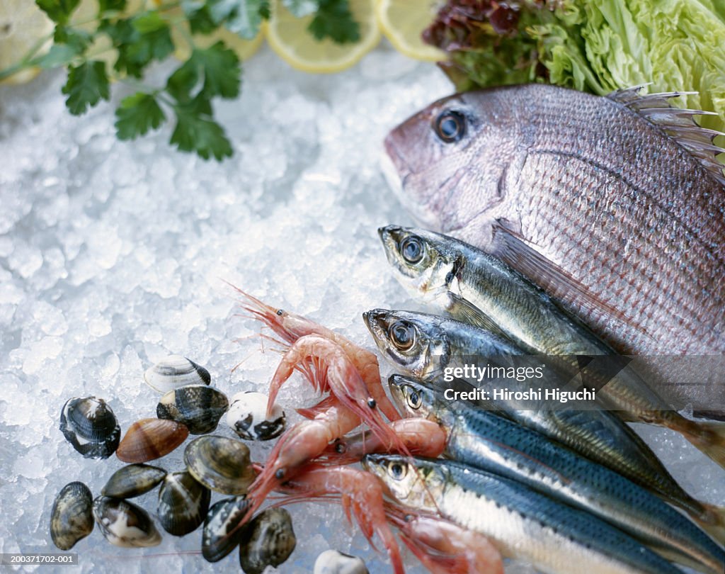 Sea bream, horse mackerel, cockels and prawns on ice