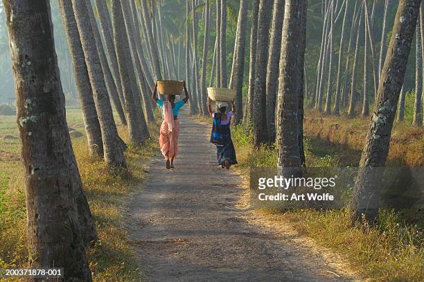 india, goa, two women walking along palm-lined path, rear view - goa stock pictures, royalty-free photos & images