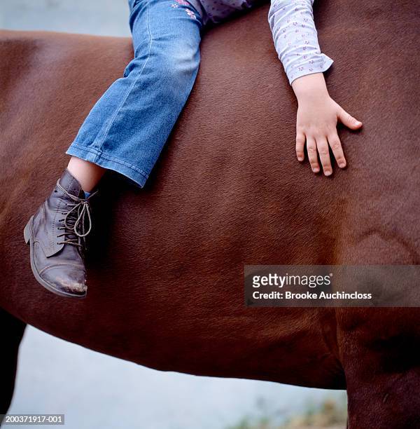 girl (4-6) on horse, low section - hairy girl 個照片及圖片檔