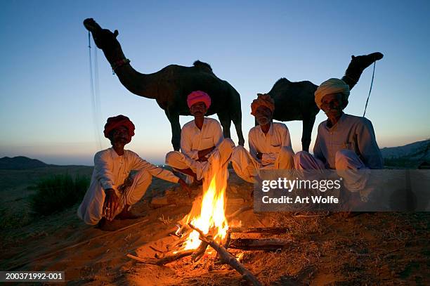 india, rajasthan, pushkar, dromedary camels and traders at campfire - campfire art stock pictures, royalty-free photos & images