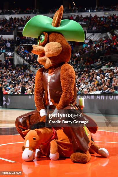 Mascot The Coyote of the San Antonio Spurs looks on during the game against the Cleveland Cavaliers on February 3, 2024 at the Frost Bank Center in...