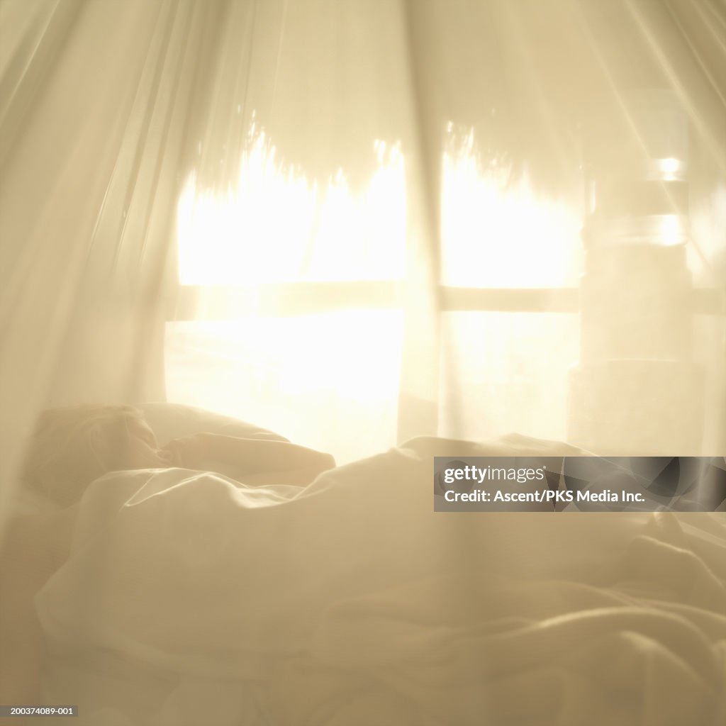 Woman sleeping in covered bed