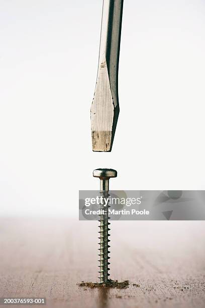 flathead screwdriver above screw sticking out of wood, close-up - screwdriver stock pictures, royalty-free photos & images