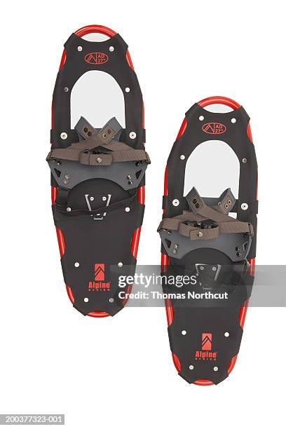 snowshoes, overhead view - sneeuwschoen stockfoto's en -beelden