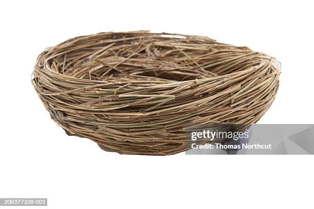 nest - animal nest stock pictures, royalty-free photos & images