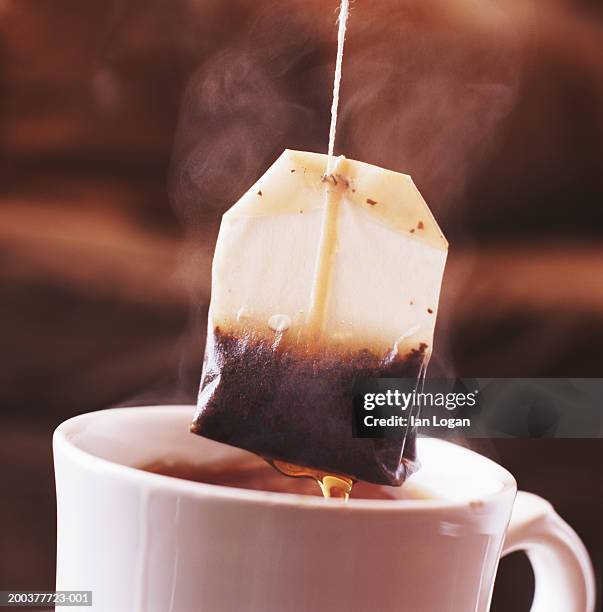 teabag above mug (focus on teabag) - tea bag stock-fotos und bilder