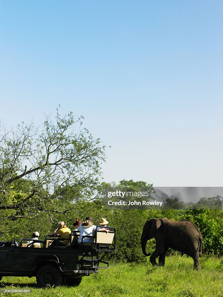 Tourists on safari in 4x4 near elephant
