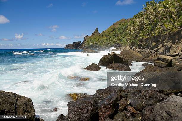 pacific island, pitcairn island, coastline - pitcairnöarna bildbanksfoton och bilder