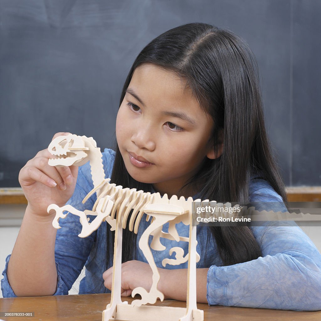 Female elementary school student (9-11) assembling model dinosaur