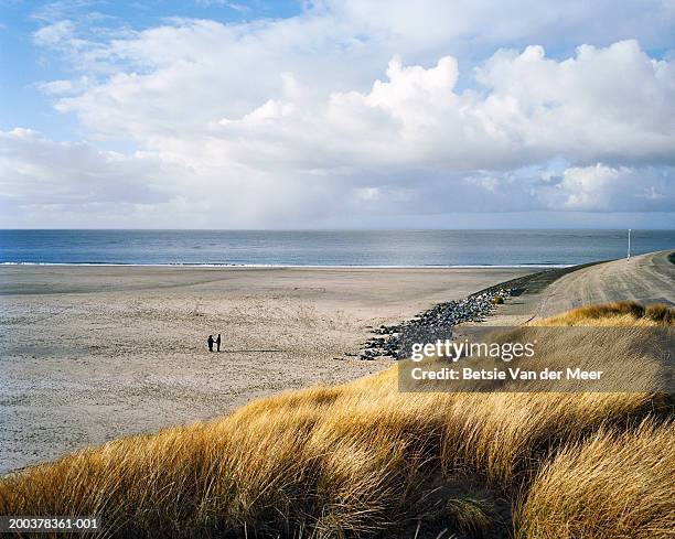 the netherlands, zeeland, neeltje-jans island, couple on beach - zeeland stock pictures, royalty-free photos & images