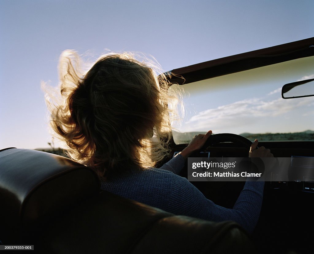 Silhouette of woman driving convertible, rear view, close-up
