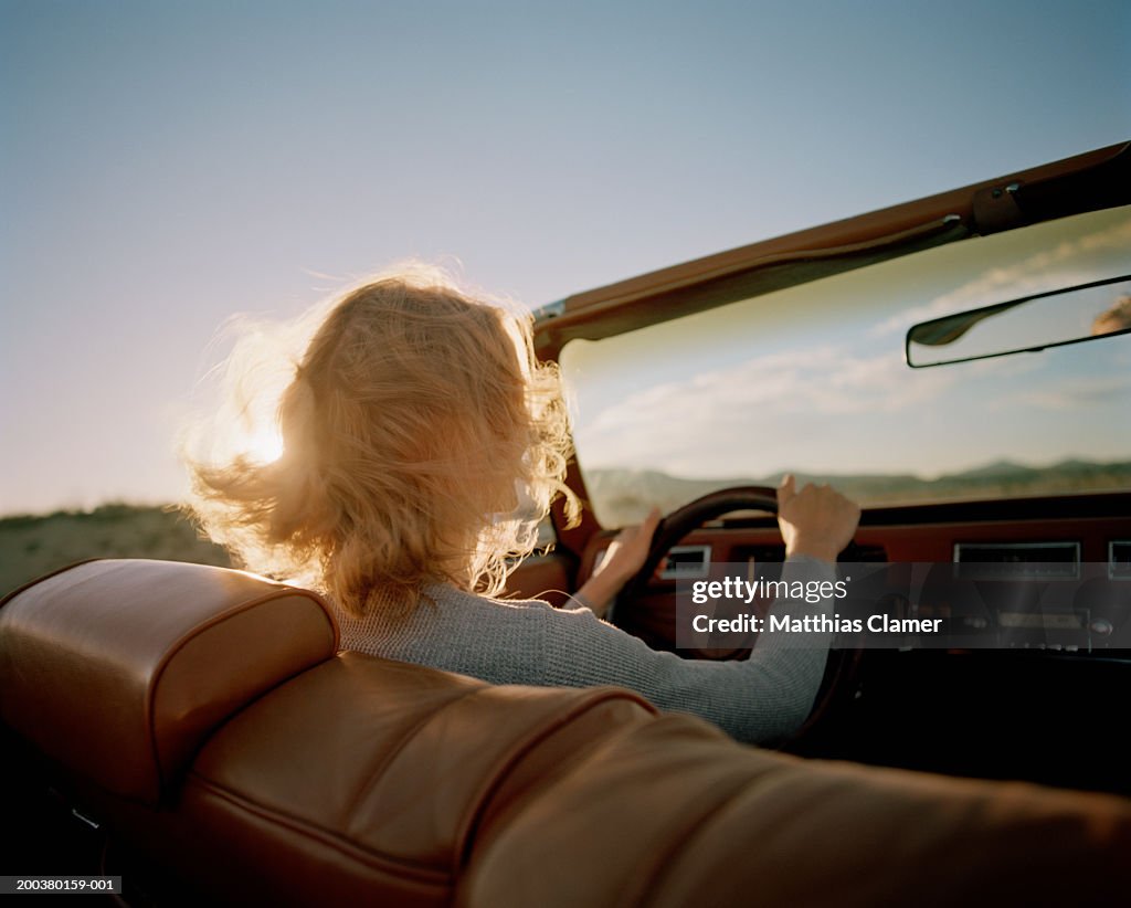 Young woman driving convertible, rear view