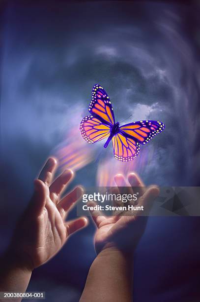 person releasing butterfly - releasing butterfly stock pictures, royalty-free photos & images